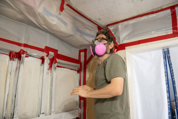 Forensic Mold Investigation in Spring Hope, NC